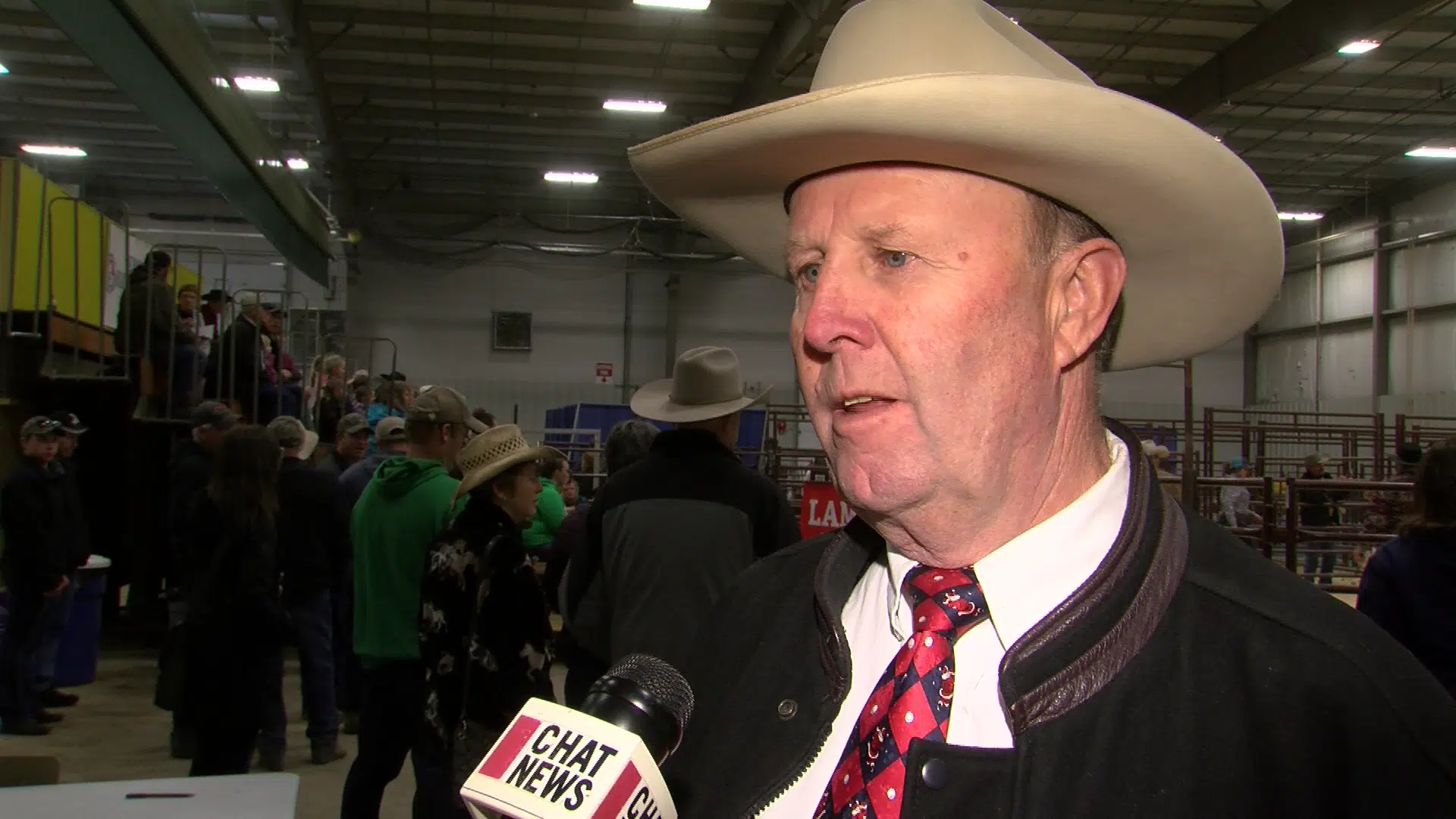 Beef and Pen show celebrates 22 years in Medicine Hat CHAT News Today