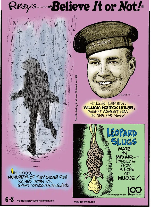 1. In 2000, hundreds of tiny silver fish rained down on Great Yarmouth, England. 2. Hitler's nephew, William Patrick Hitler, fought against him in the U.S. Navy. 3. Leopard slugs mate in midair - dangling from a rope of mucus!