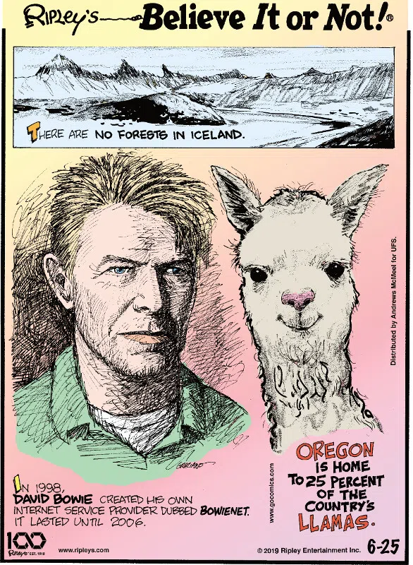 1. There are no forests in Iceland. 2. In 1998, David Bowie created his own internet service provider dubbed Bowienet. It lasted until 2006. 3. Oregon is home to 25 percent of the country's llamas.