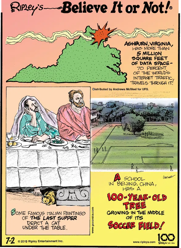 1. Ashburn, Virginia, has more than 5 million square feet of data space - 70 percent of the world's internet traffic travels through it! 2. Some famous Italian paintings of The Last Supper depict a cat under the table. 3. A school in Beijing, China, has a 100-year-old tree growing in the middle of its soccer field!