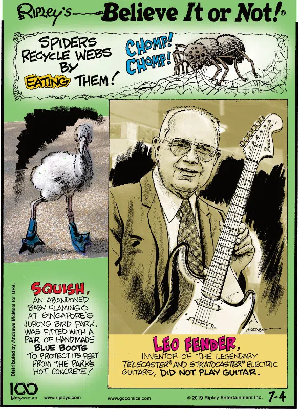 1. Spiders recycle webs by eating them! 2. Squish, an abandoned baby flamingo at Singapore's Jurong Bird Park, was fitted with a pair of handmade blue boots to protect its feet from the park's hot concrete! 3. Leo Finder, inventor of the legendary Telecaster® and Stratocaster® electric guitars, did not play guitar.