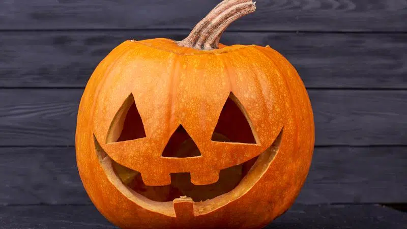 Police reminding Hatters to be safe on Halloween | CHAT News Today