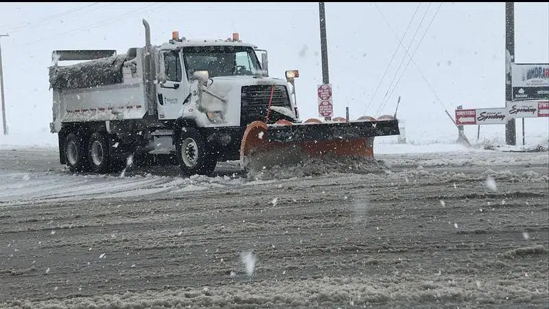 Up to 40 cm of snow expected in southern Alberta as winter storm hits ...