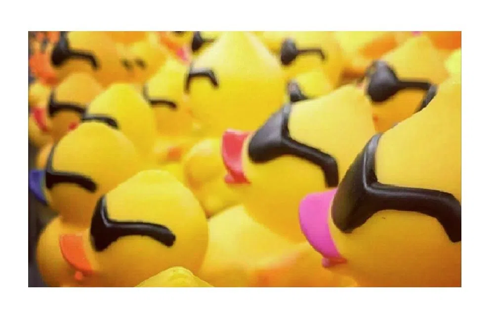 Center for Prevention of Abuse preps for annual Duck Race | 1470 & 100. ...