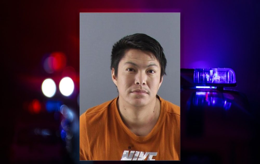 Man arrested, accused of holding girl out window during domestic incident - Vimarsana News
