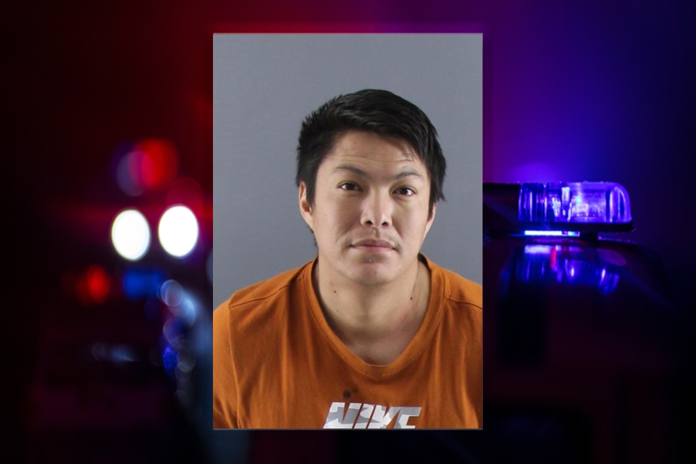 Man arrested, accused of holding girl out window during domestic incident - Vimarsana News