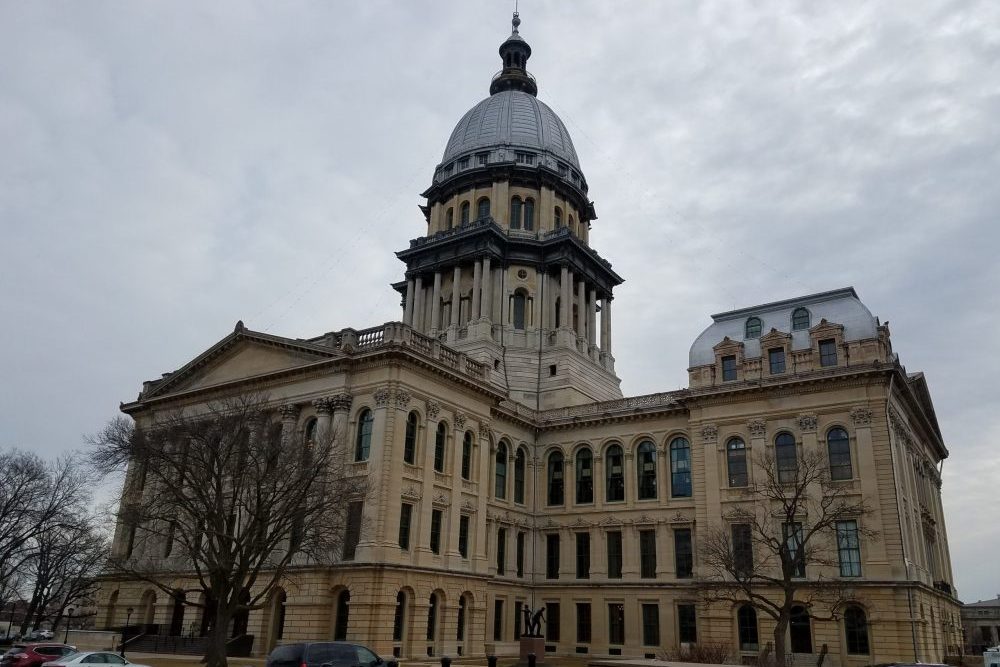 Indoor vaping, cat declawing could be banned under recently passed bills - Vimarsana News