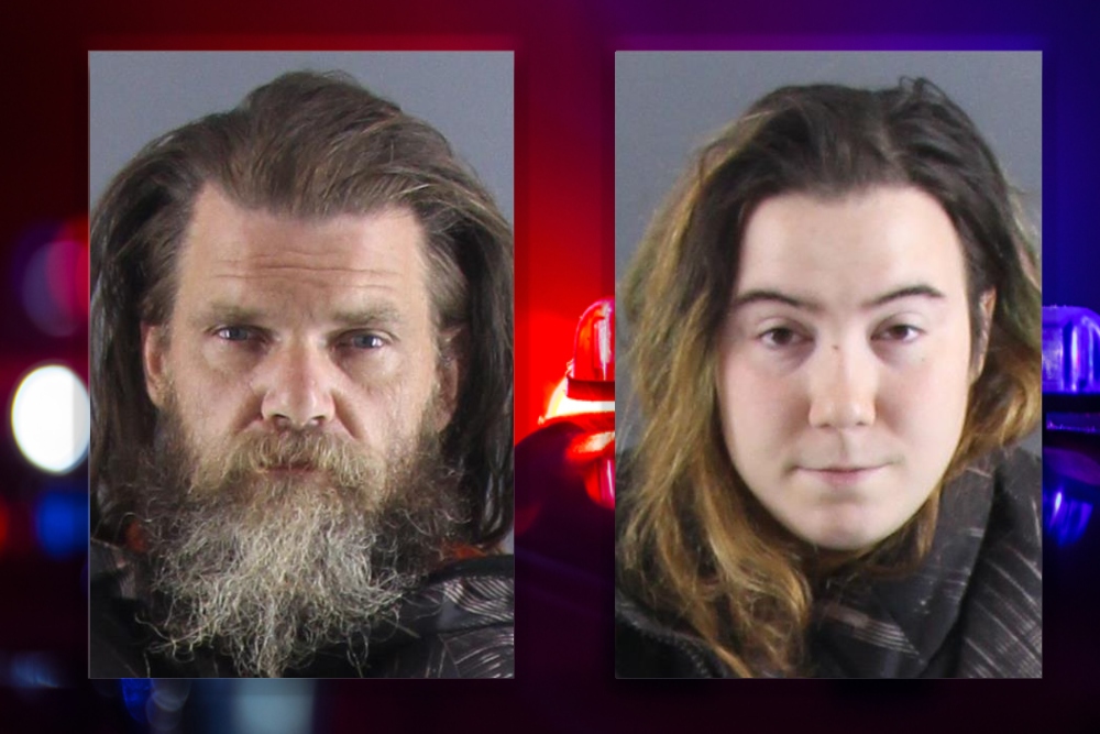 Two arrested after another dog was found on a boat where seven were found abandoned in July - Vimarsana News