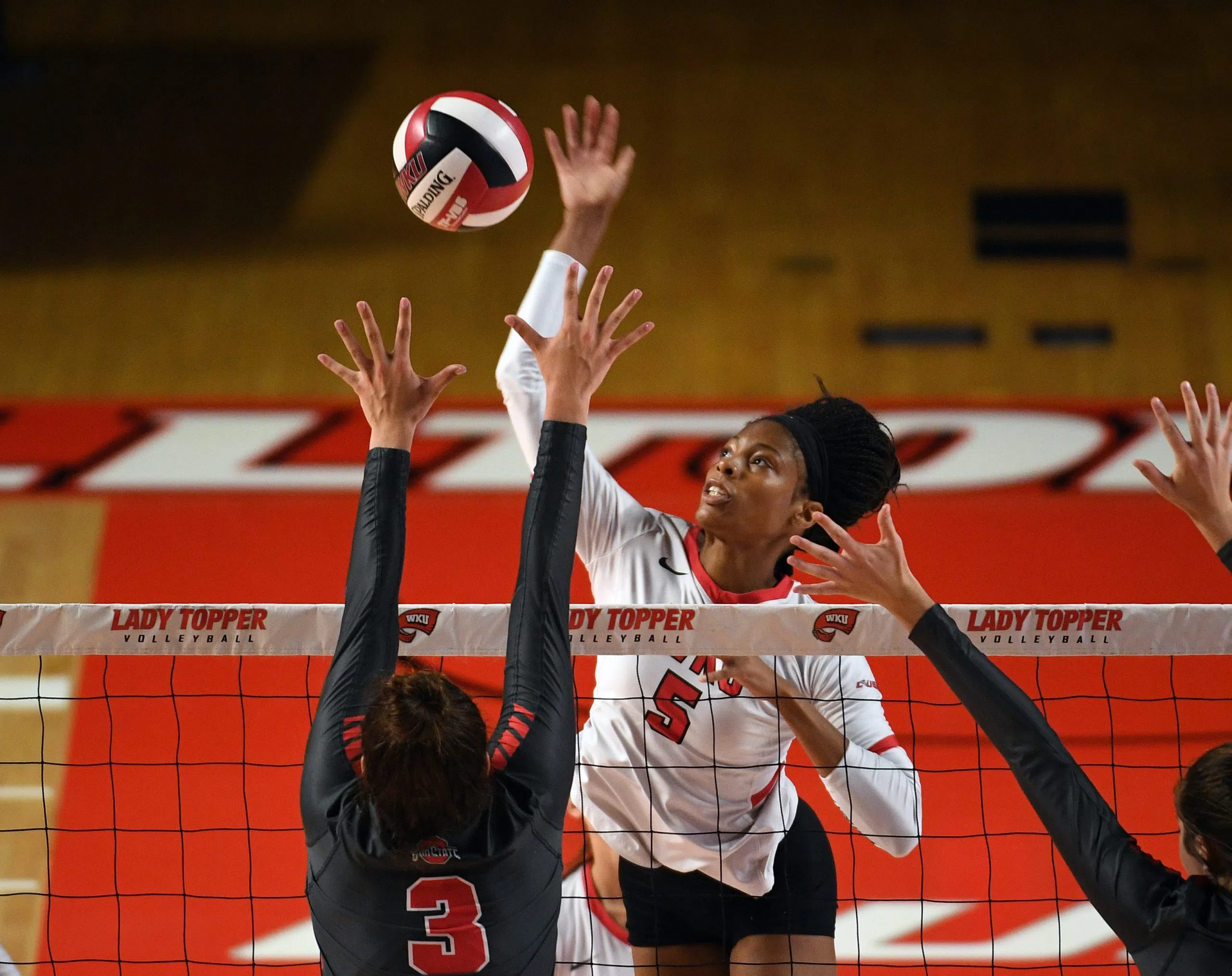 Lauren Matthews named AVCA South Region Player of the Year | ESPN 106.1