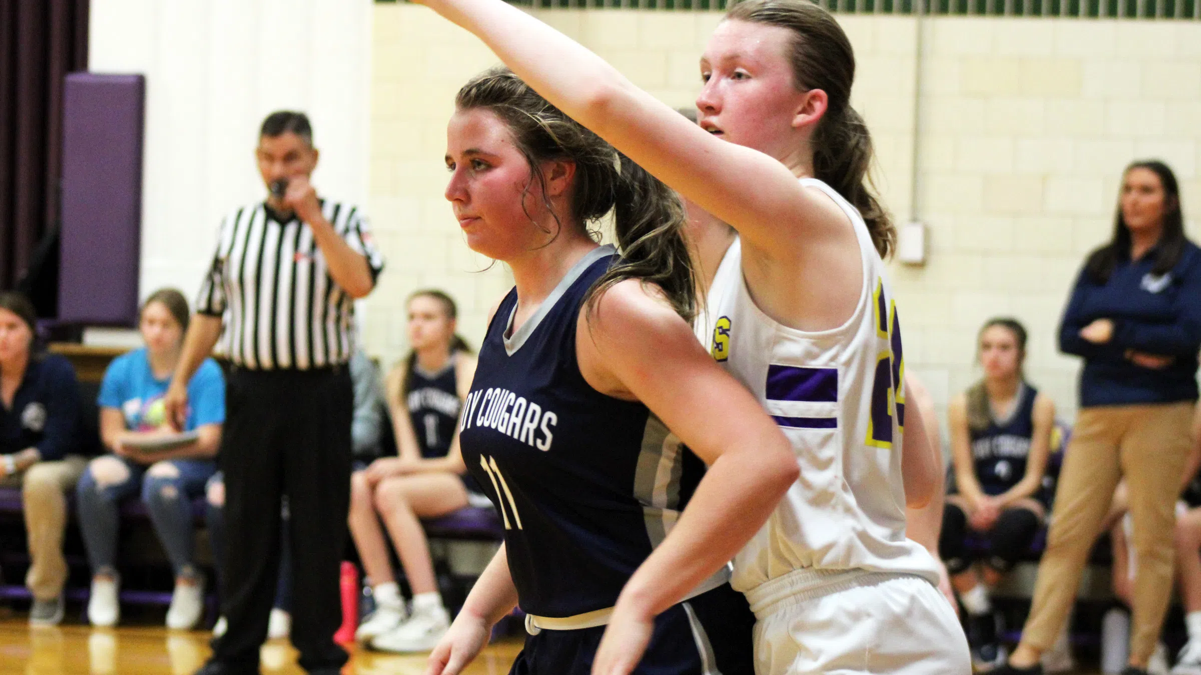 South Central Girls Fall at Greenville