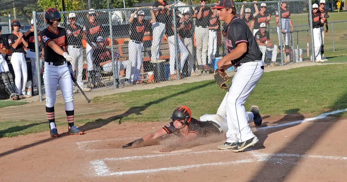 Altamont baseball falls to St. Anthony in NTC Tournament Championship