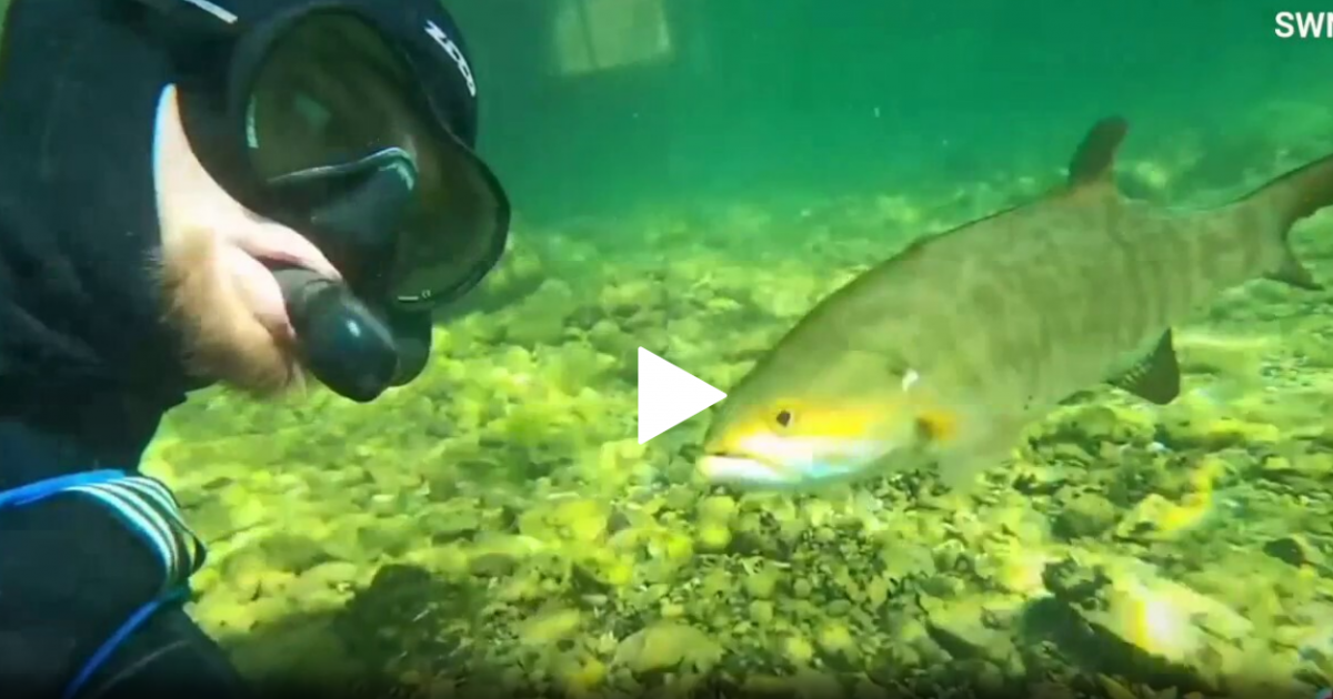 A "fishy" friendship | 97 Seven Country WGLR - The Tri-States Best Variety of Country - Lancaster, Dubuque, Galena, Platteville - Vimarsana News