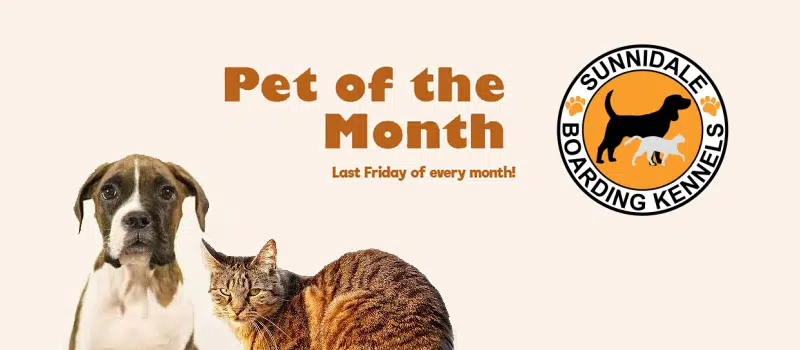 Feature: /pet-of-the-month/