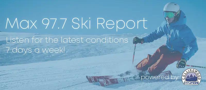 Feature: /ski-report/