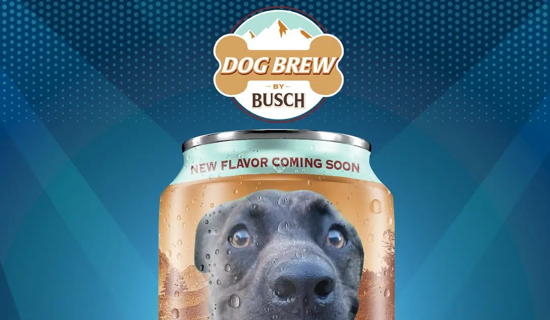 Perham dog chosen as face of Busch Dog Brew 97 KYCK