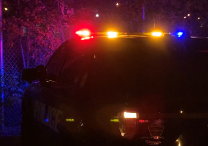 Roseville deaths ruled murder-suicide - Vimarsana News