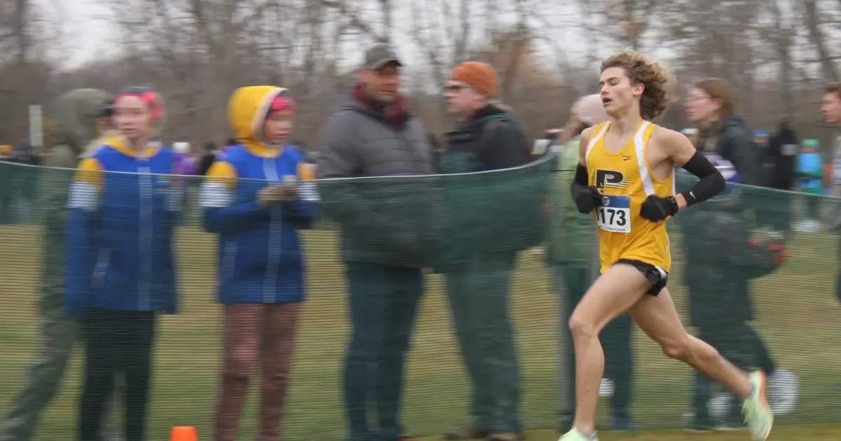 Area Track and Field Athletes Set To Compete At Hamline Elite Meet on