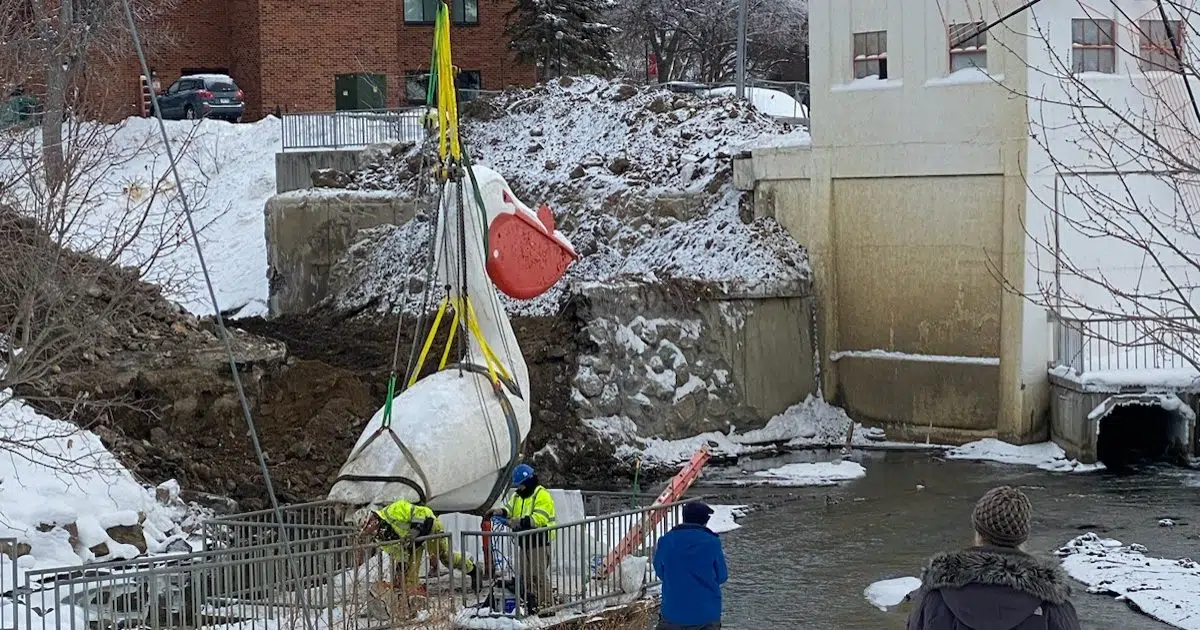 Pelican Pete Statue Relocated as part of Mill Pond Dam Removal in