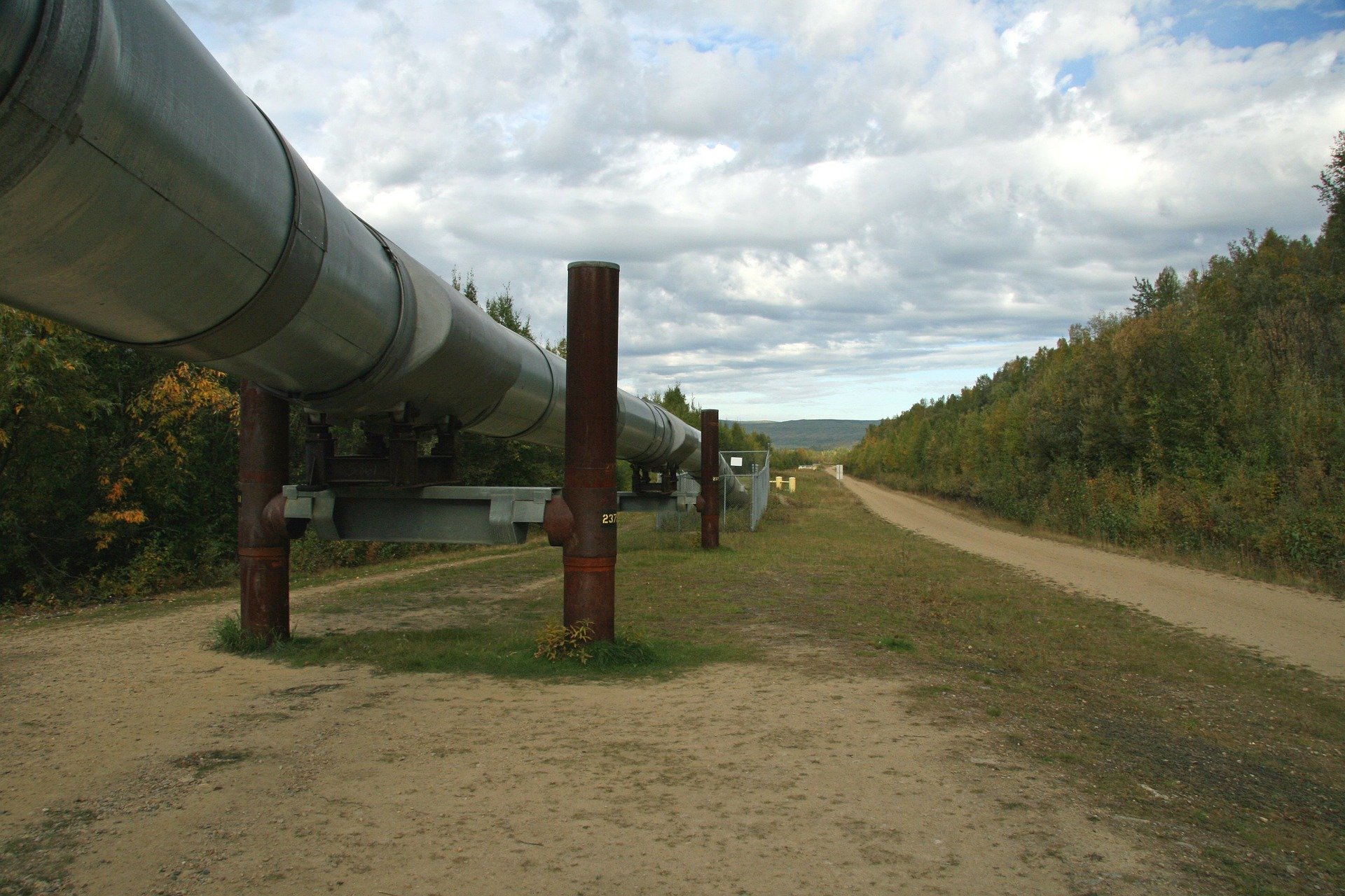 Minnesota Officials Looking into Line 3 Drilling Fluid Spill - Vimarsana News