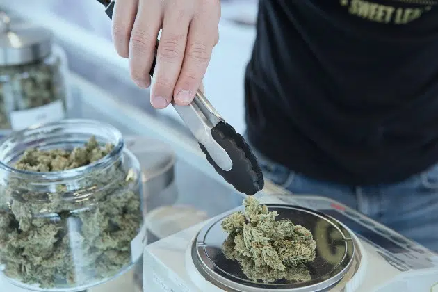 Minnesota Senate Passes Recreational Marijuana Law