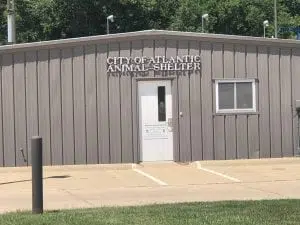 Atlantic City Council expected to re-consider Atlantic Animal Shelter  Addition Project | Western Iowa Today  KSOM KS 