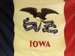 Iowa Cubs on X: Wednesday, June 14, is Flag Day, and the Iowa