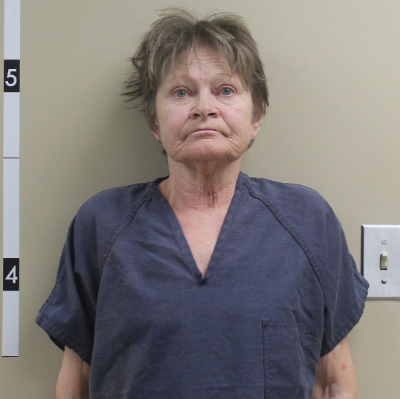 South Dakota woman who shot husband in face sentenced to prison - Vimarsana News