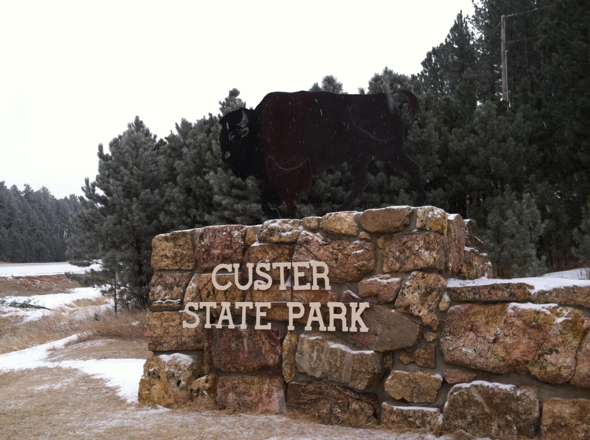 Plan to add campsites at Custer State Park draws opposition - Vimarsana News