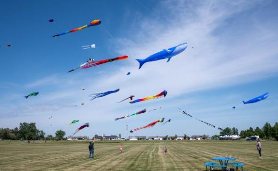 World-wide known kite-flying team to be part of annual Jamestown Kite Festival - Vimarsana News