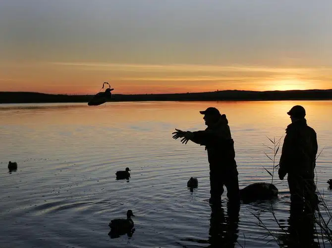 Wetland Conditions Good for Duck Hunting The Mighty 790 KFGO KFGO