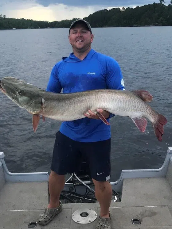 DNR certifies new catch-and-release state record muskie | The Mighty ...