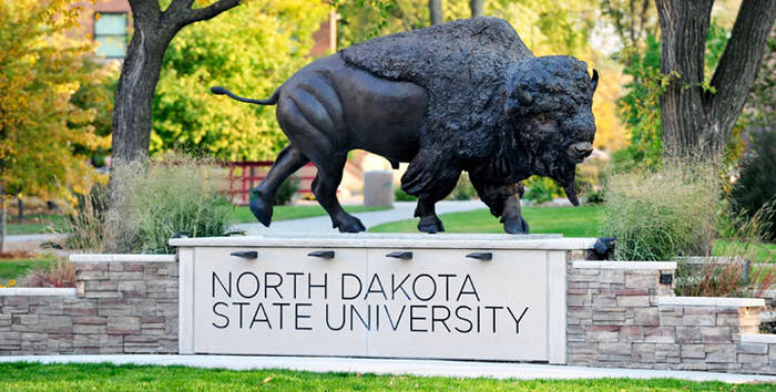 Petition started to ensure NDSU Homecoming Court has one king and one queen - Vimarsana News