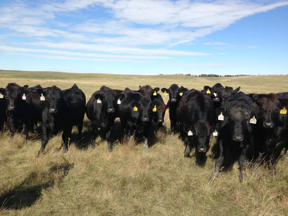 MDA offers a livestock investment grant program 740 The FAN