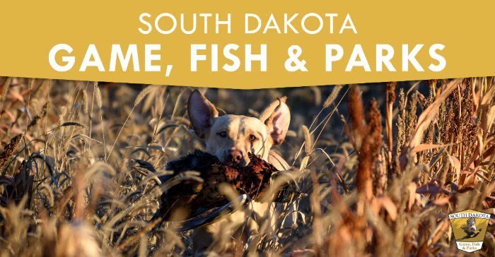 Quality Habitat Means Abundant Birds in South Dakota - Vimarsana News