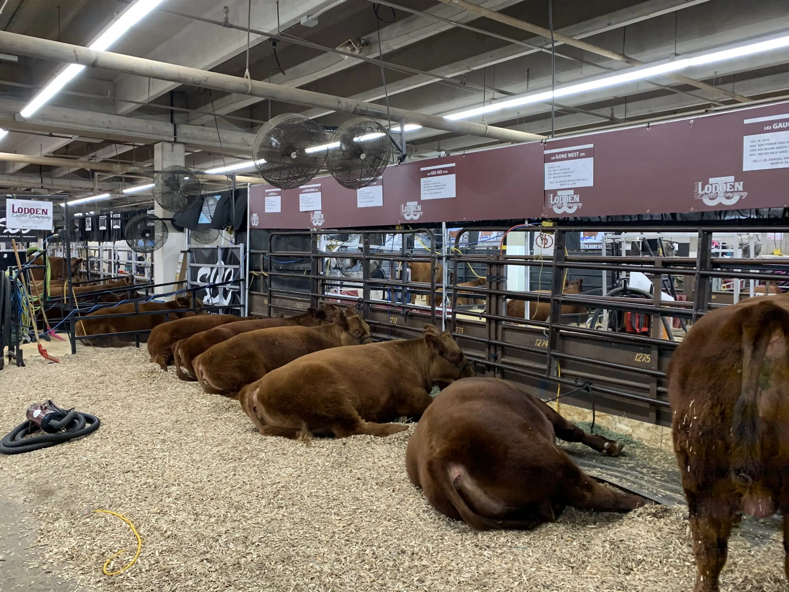 The North American International Livestock Expo is still planned for