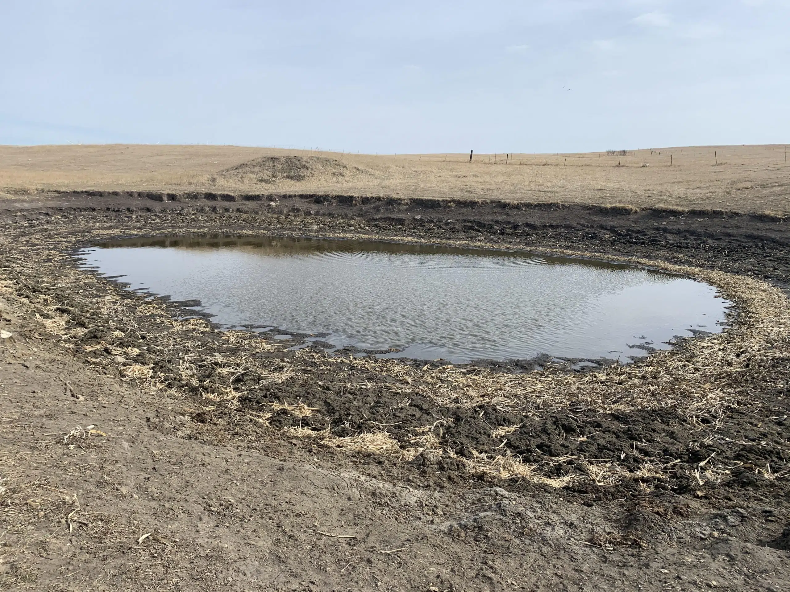 ND Water Commission Approves Additional Livestock Drought Assistance ...