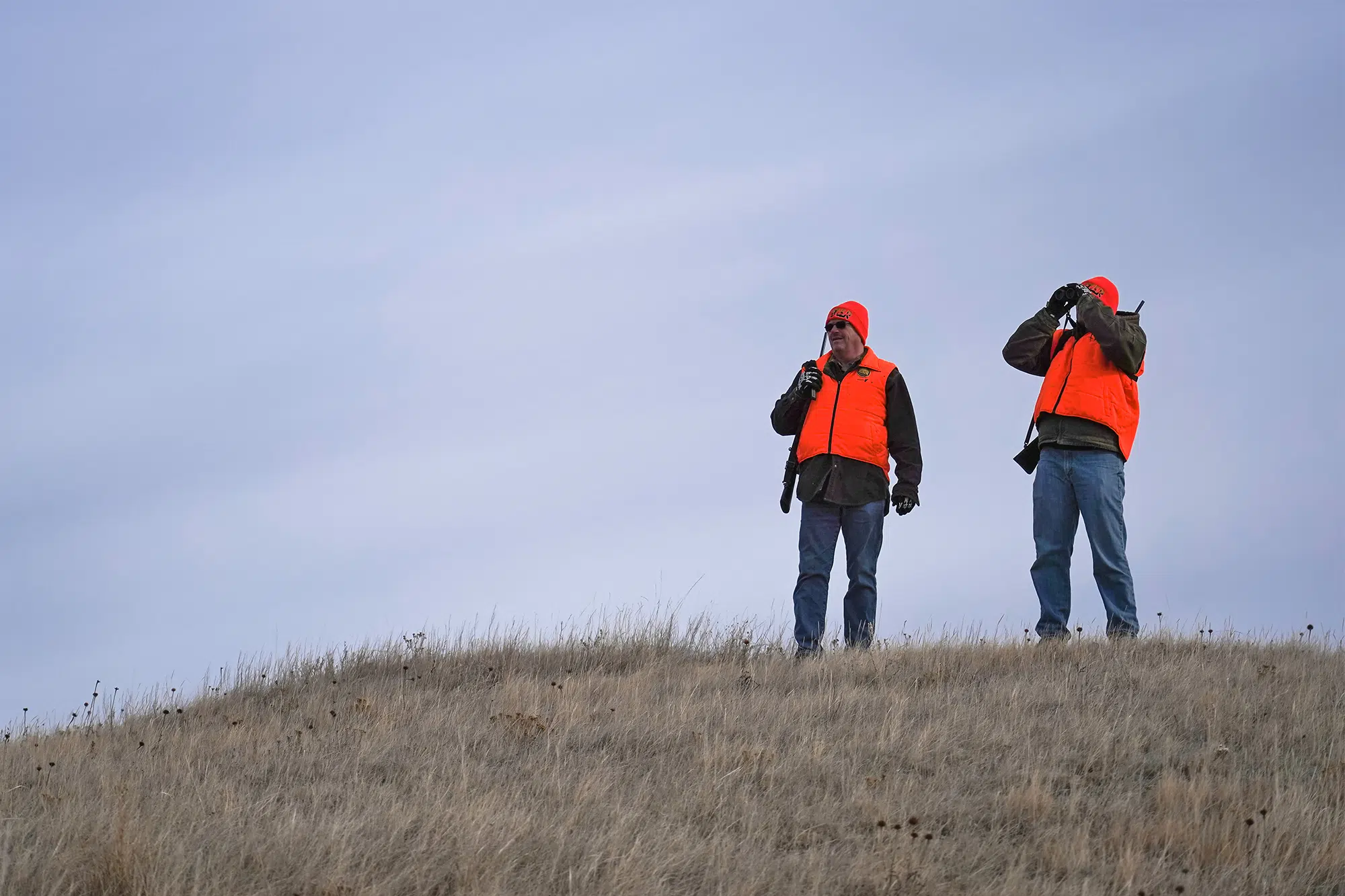 Minnesota Firearms Deer Hunting Opener Y94