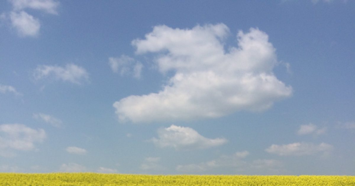 Oilfield wastewater line spills in northwestern North Dakota - Vimarsana News