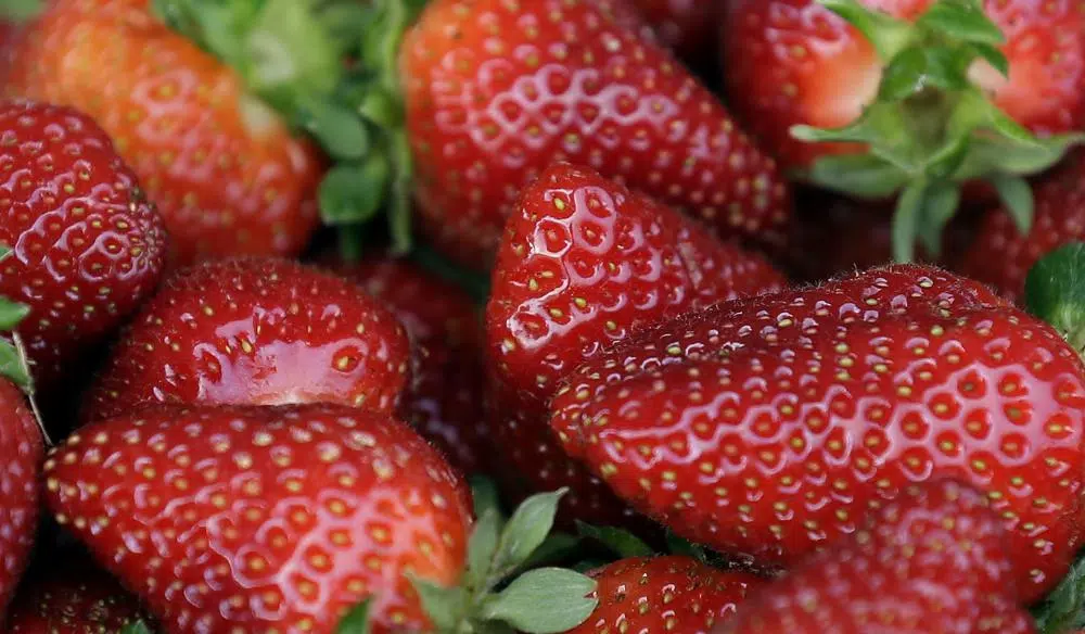 Minnesota, North Dakota included in strawberry recall, sold at Aldi and