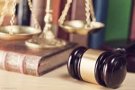 Dog rescue nonprofit owners charged with tax fraud - Vimarsana News