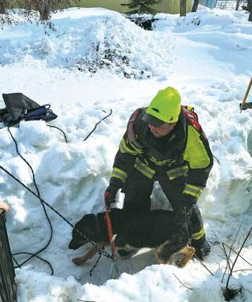 Sanborn, ND Fire & Rescue crews save dog from fall into deep well - Vimarsana News