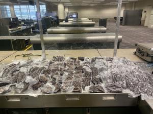 MSP Customs and Border Patrol agents seize 83 pounds of restricted meat from South Africa - Vimarsana News