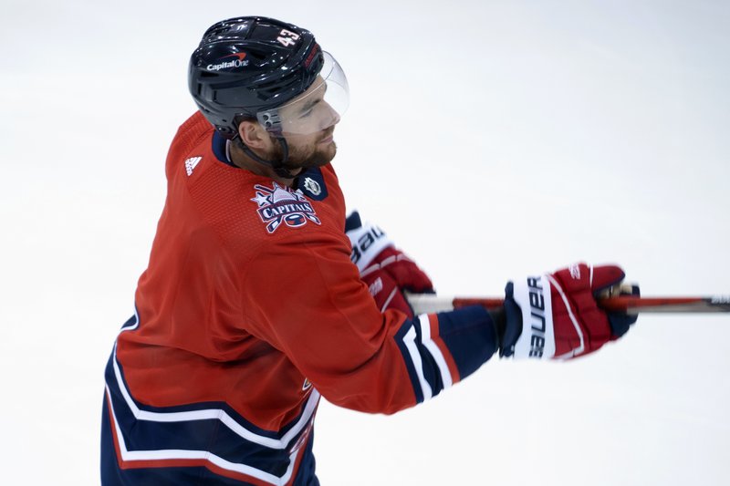 NHL teams begin to unveil advertisements on helmets - Vimarsana News