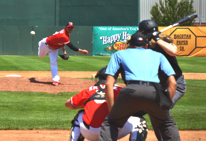 RedHawks beat Milwaukee 9-0 - Vimarsana News