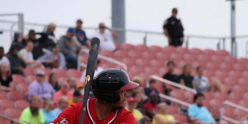 RedHawks Split With Saltdogs - Vimarsana News