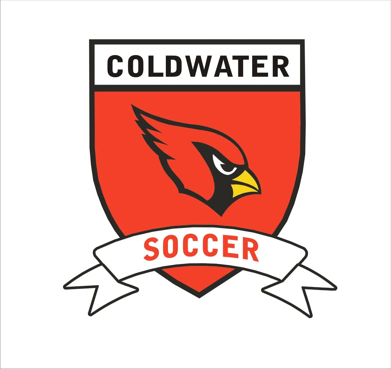 Coldwater varsity and JV soccer teams earn shutout wins | WTVB | 1590 ...