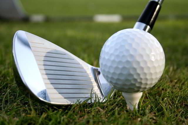 Hillsdale Academy golfers earn All-State honors from golf coaches association - Vimarsana News
