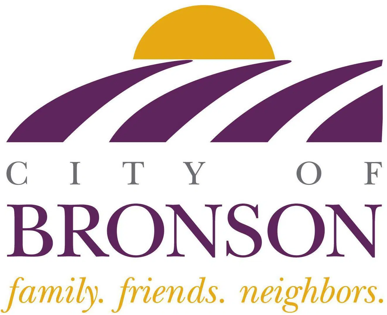 Bronson City Council approves rezoning for proposed self storage facility | WTVB | 1590 AM · 95.5 FM | The Voice of Branch County