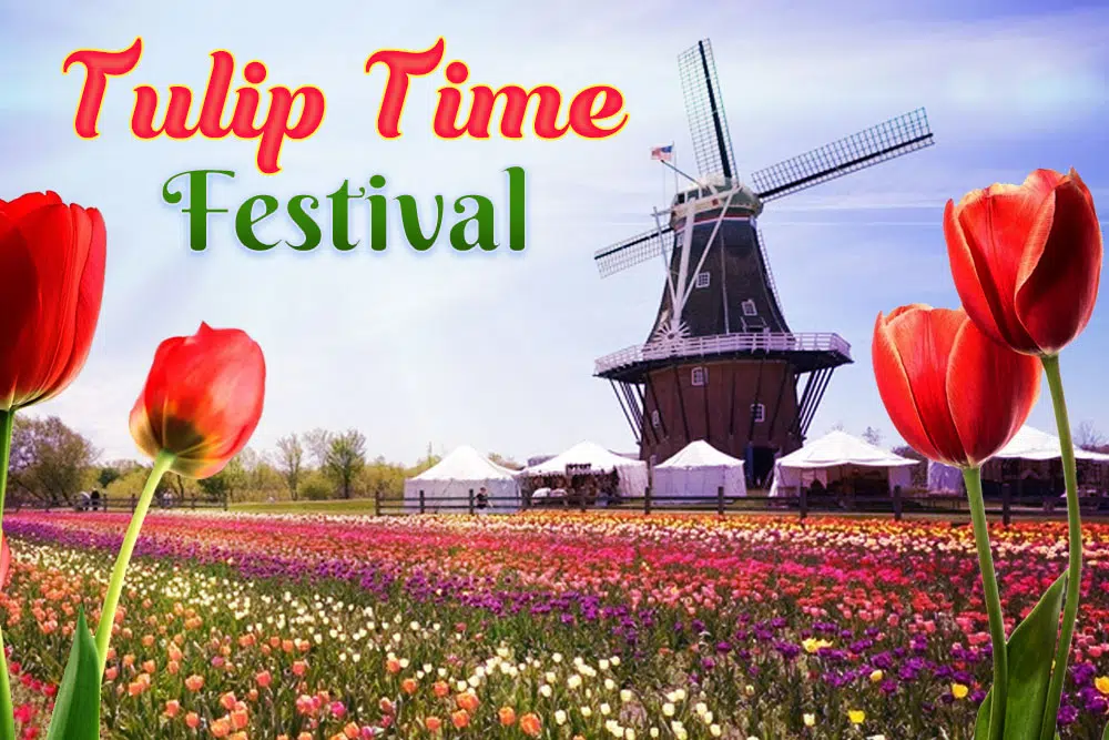 Tulip Time Brings New Events To Fall Fest 1450 AM 99.7 FM WHTC Holland