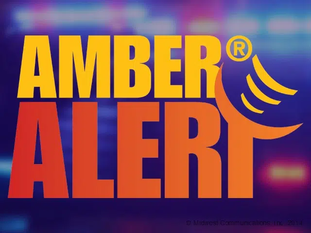 Amber Alert system in Michigan turns 20 this year | WTVB | 1590 AM · 95 ...